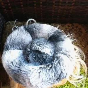 Dior | Accessories | 6s Miss Dior By Christian Dior Fur Tam  display picture 2